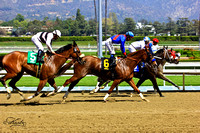 Santa Anita Race Track 3/23/2013